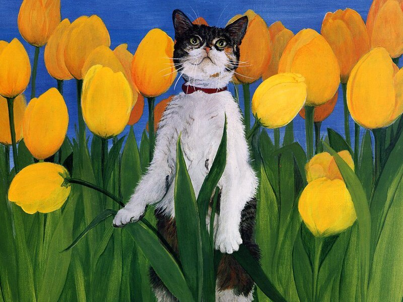 Cat in Tulip Field
