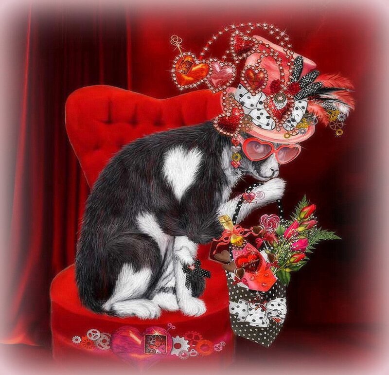 Cat in Valentine Hat
