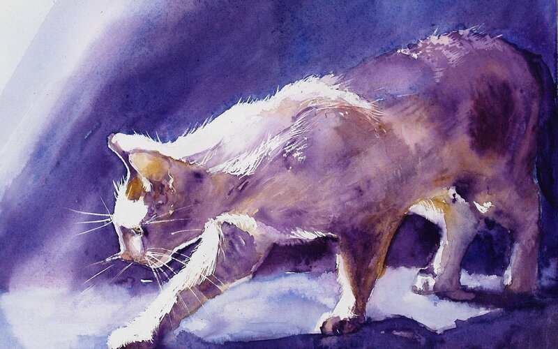 Cat in Watercolor