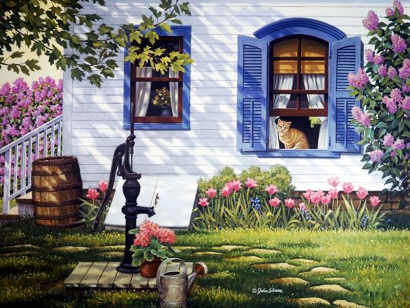 Cat in Window — White, Serene, Afternoon