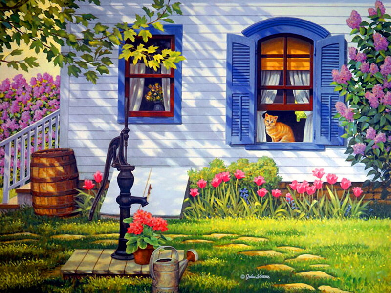 Cat in Window — White
