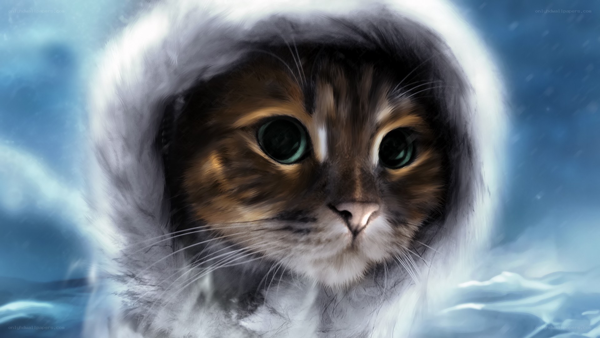 cat in winter hood