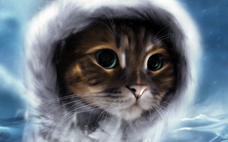 Cat in Winter Hood — White