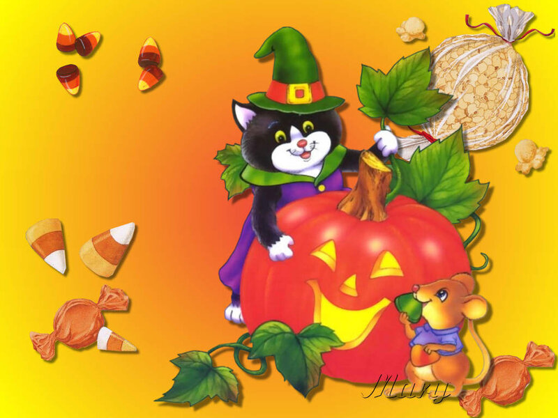 Cat in Witch Costume — Yellow