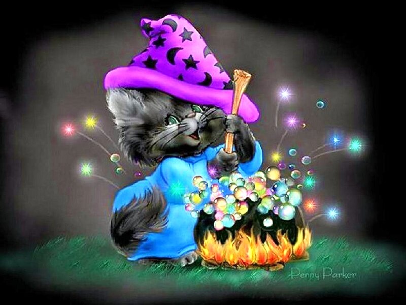 Cat in Wizard Costume