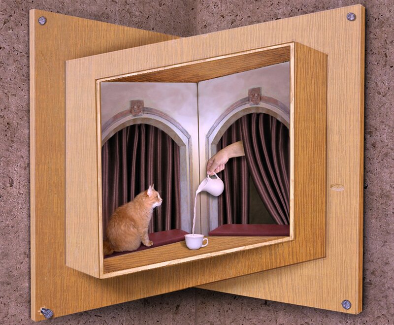 Cat in Wooden Box