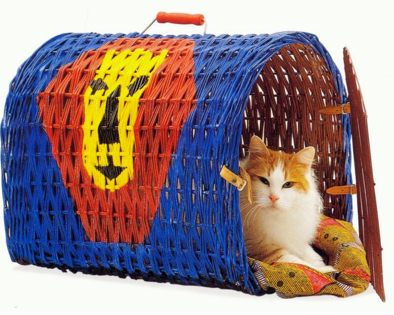 Cat in Woven Carrier