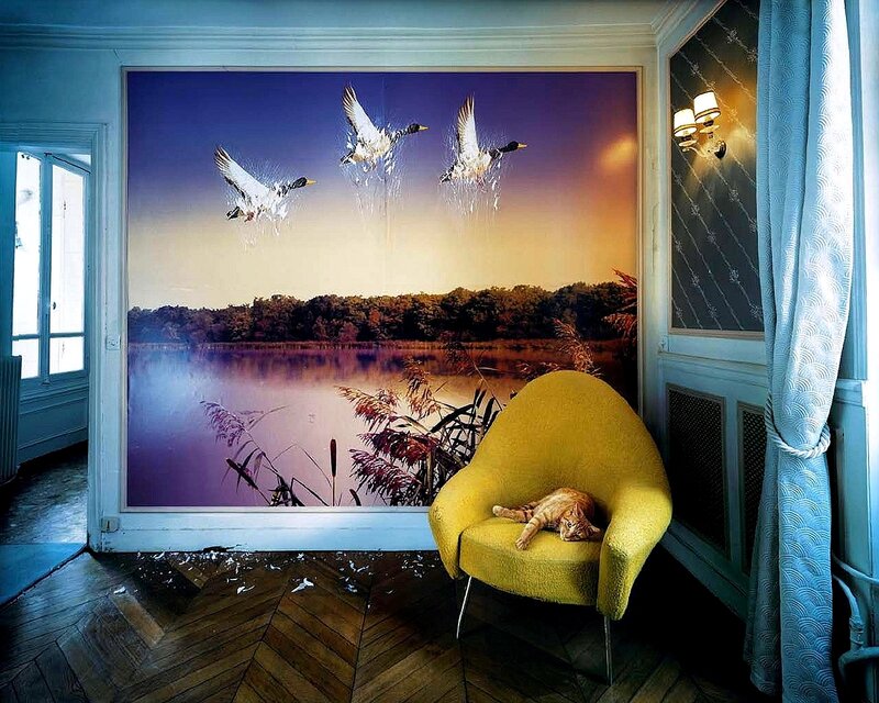 Cat in yellow chair by lake mural