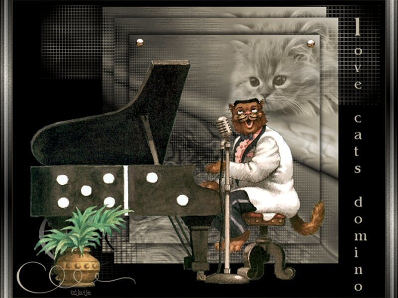 cat jazz musician collage