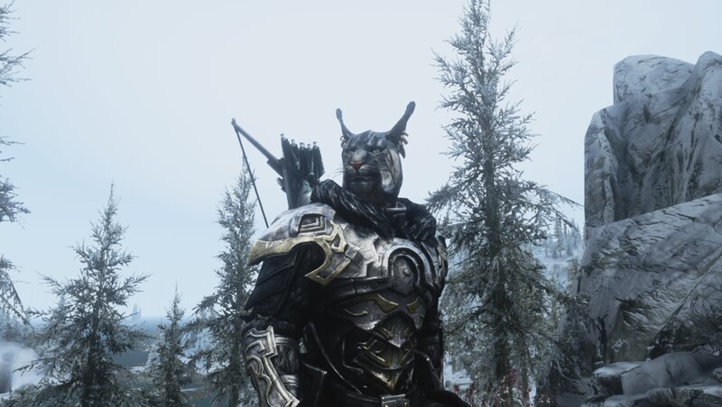 Cat-like Character in Armor — Gray