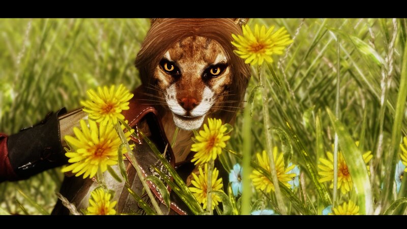 cat-like creature in a field
