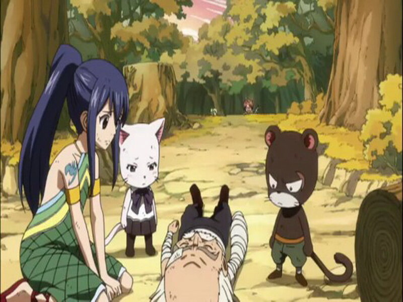 Cat-like Creatures in Forest