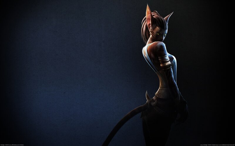 Cat-like Humanoid Character — Black