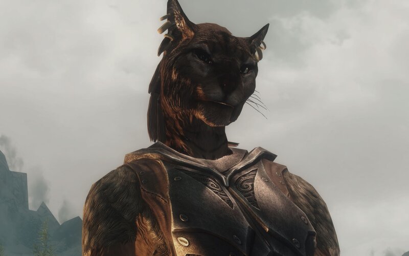 Cat-like Humanoid Character — Brown