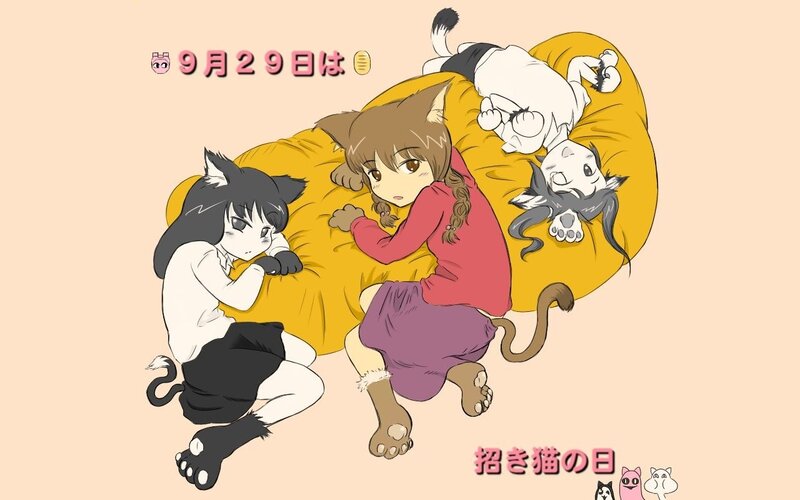 Cat-like Humanoid Characters