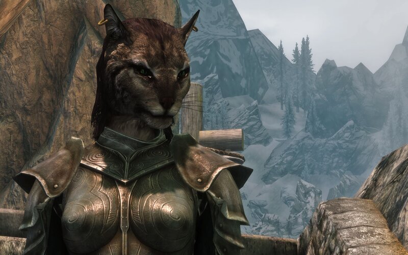 Cat-like Humanoid in Armor