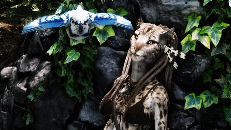 Cat-like Humanoid with Bird