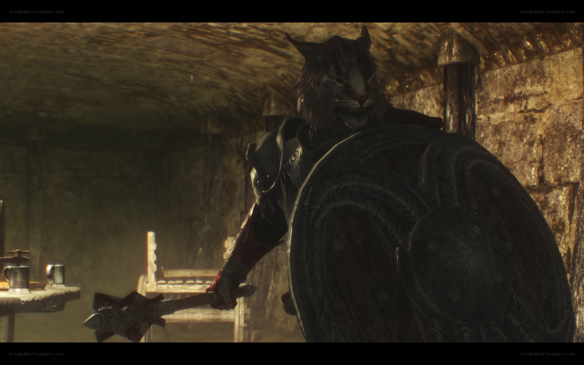 cat-like warrior in dungeon