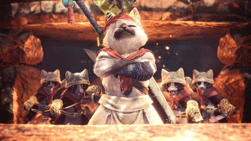 Cat-like Warriors