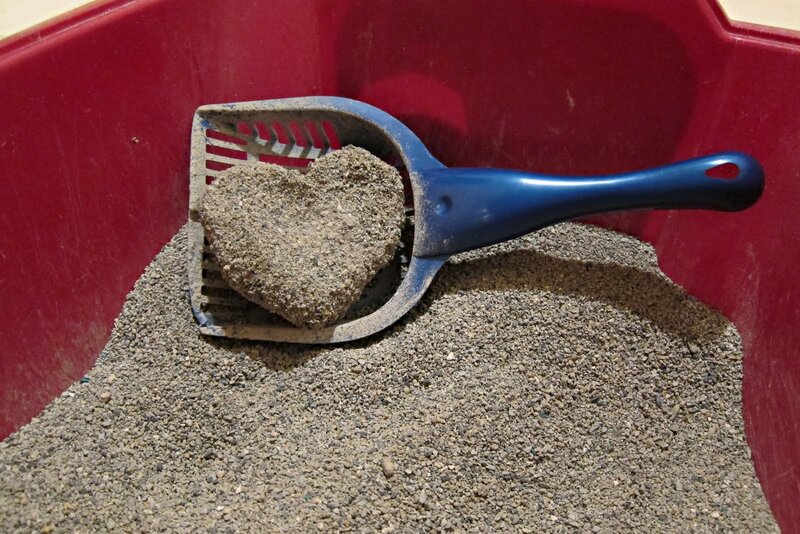 cat litter scoop with clump