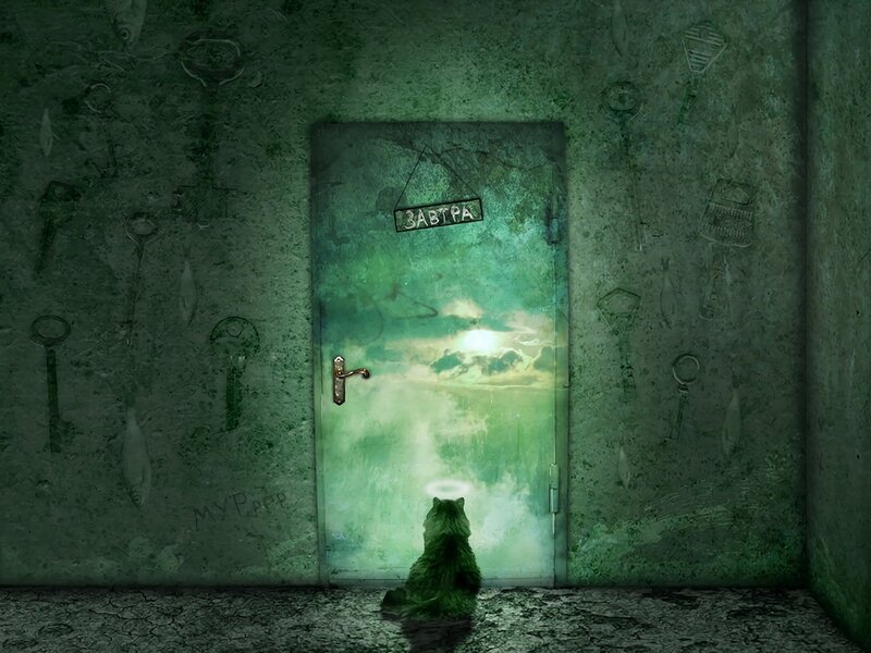 Cat Looking at Door