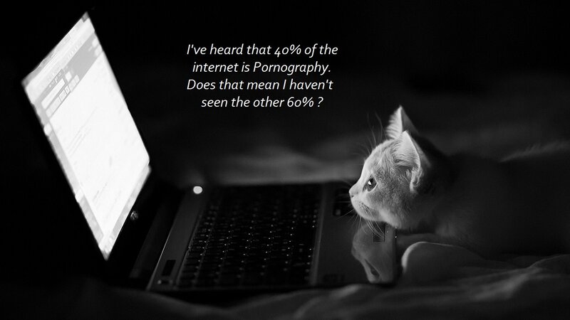 Cat Looking at Laptop — Black