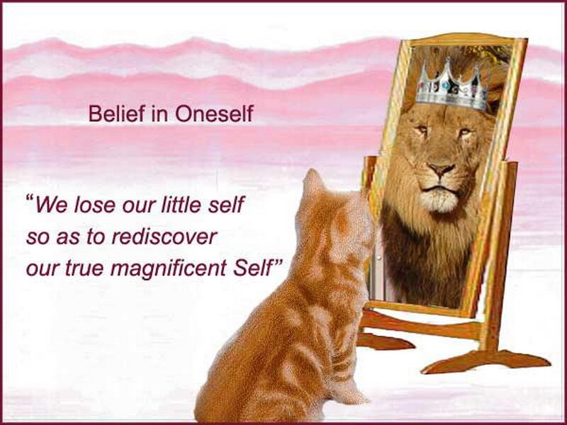 Cat Looking at Mirror