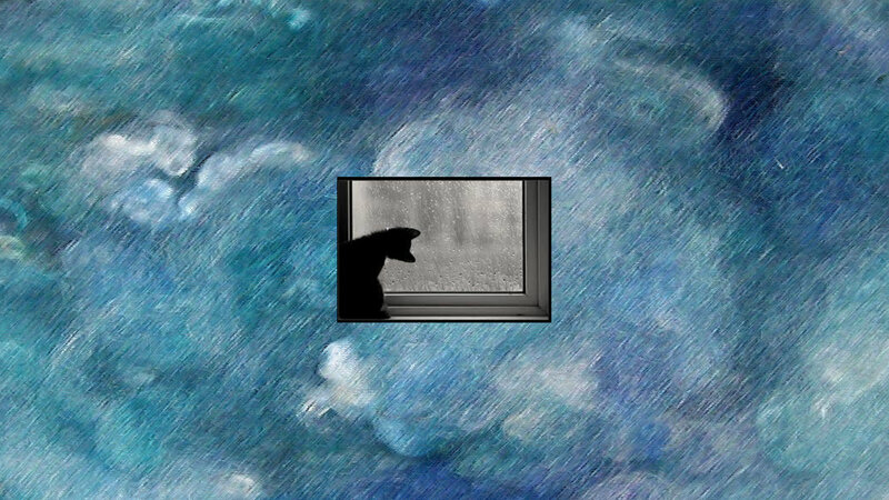 Cat Looking Out Window — Blue