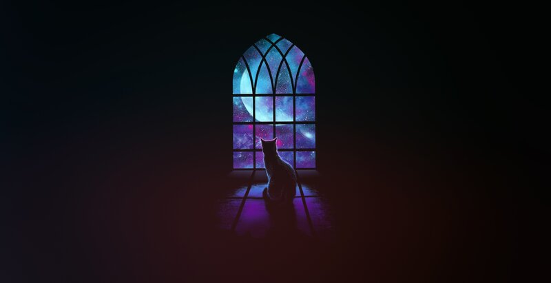 Cat Looking Out Window — Purple
