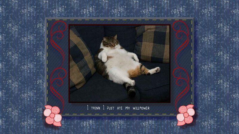 Cat Lying on Back — Blue