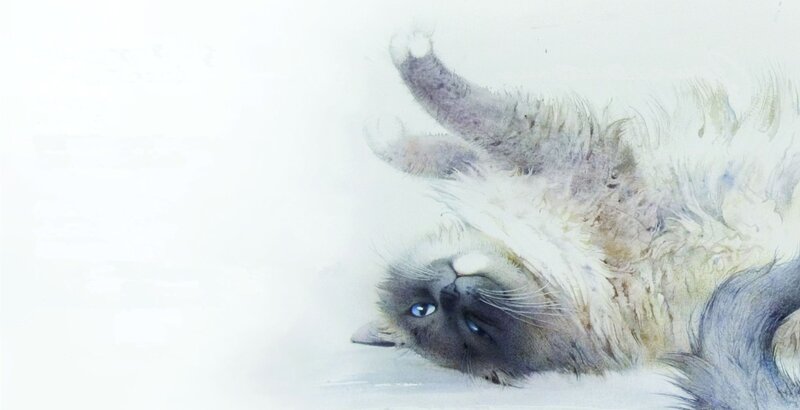 Cat Lying on Back — White, Calm