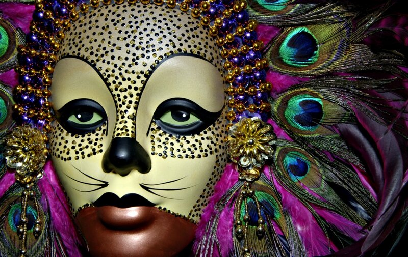 Cat Mask with Peacock Feathers