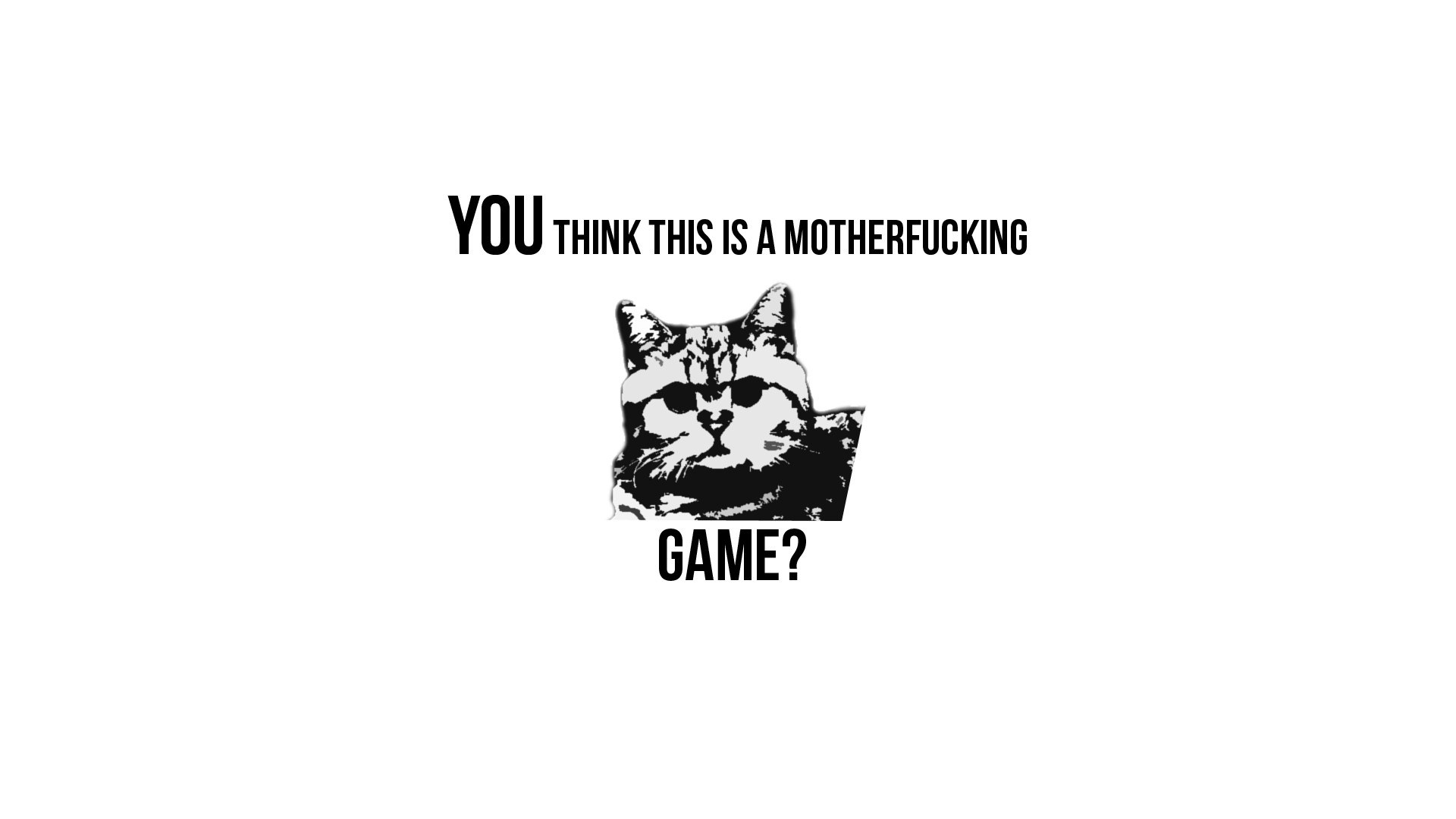 cat meme with bold text