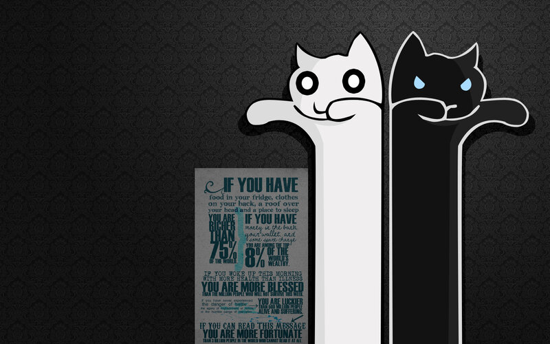 Cat meme with inspirational message