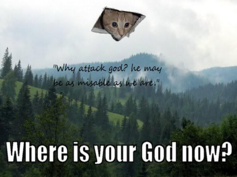 cat meme with quote