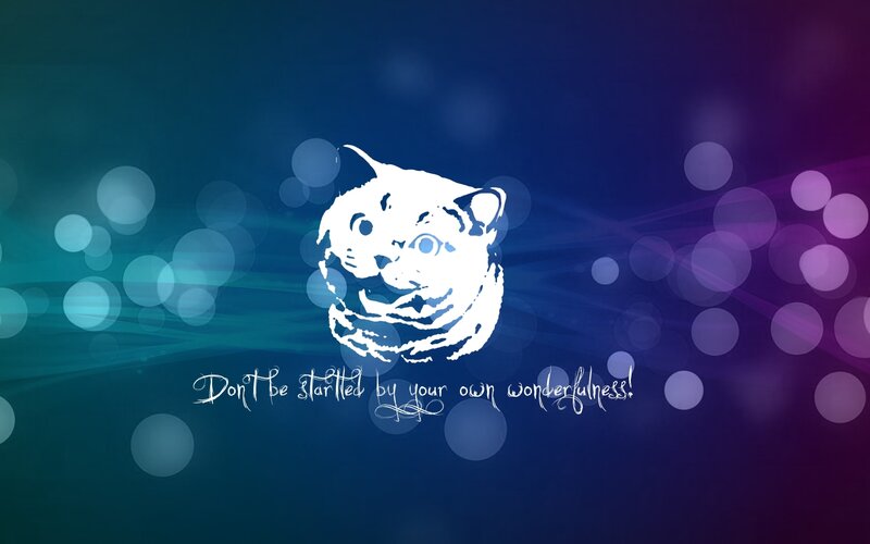 Cat meme with quote