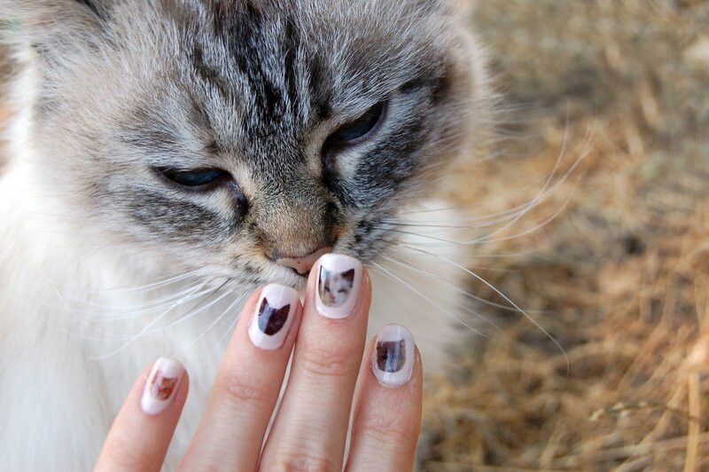 cat nail art close-up
