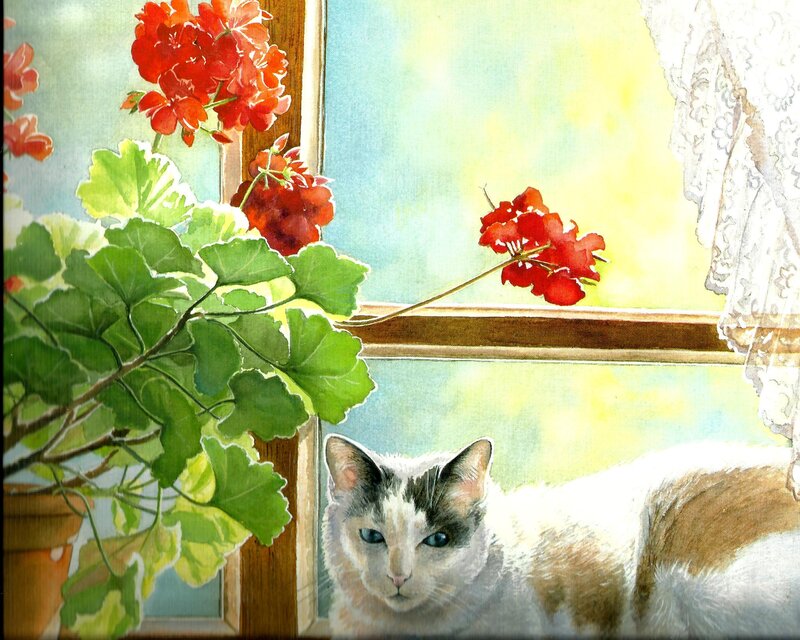 Cat Near Window