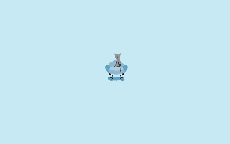 cat on a blue chair