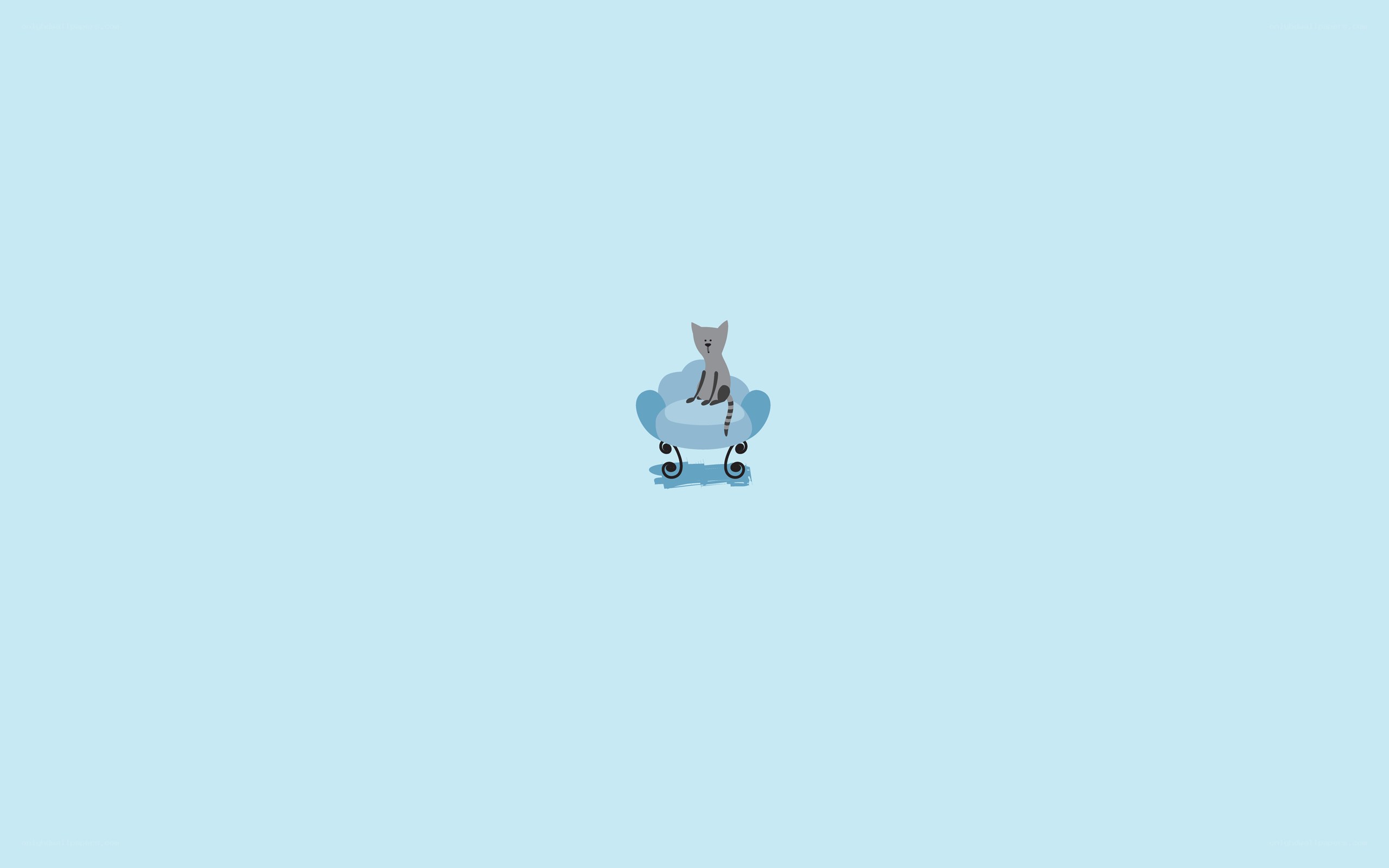 cat on a blue chair