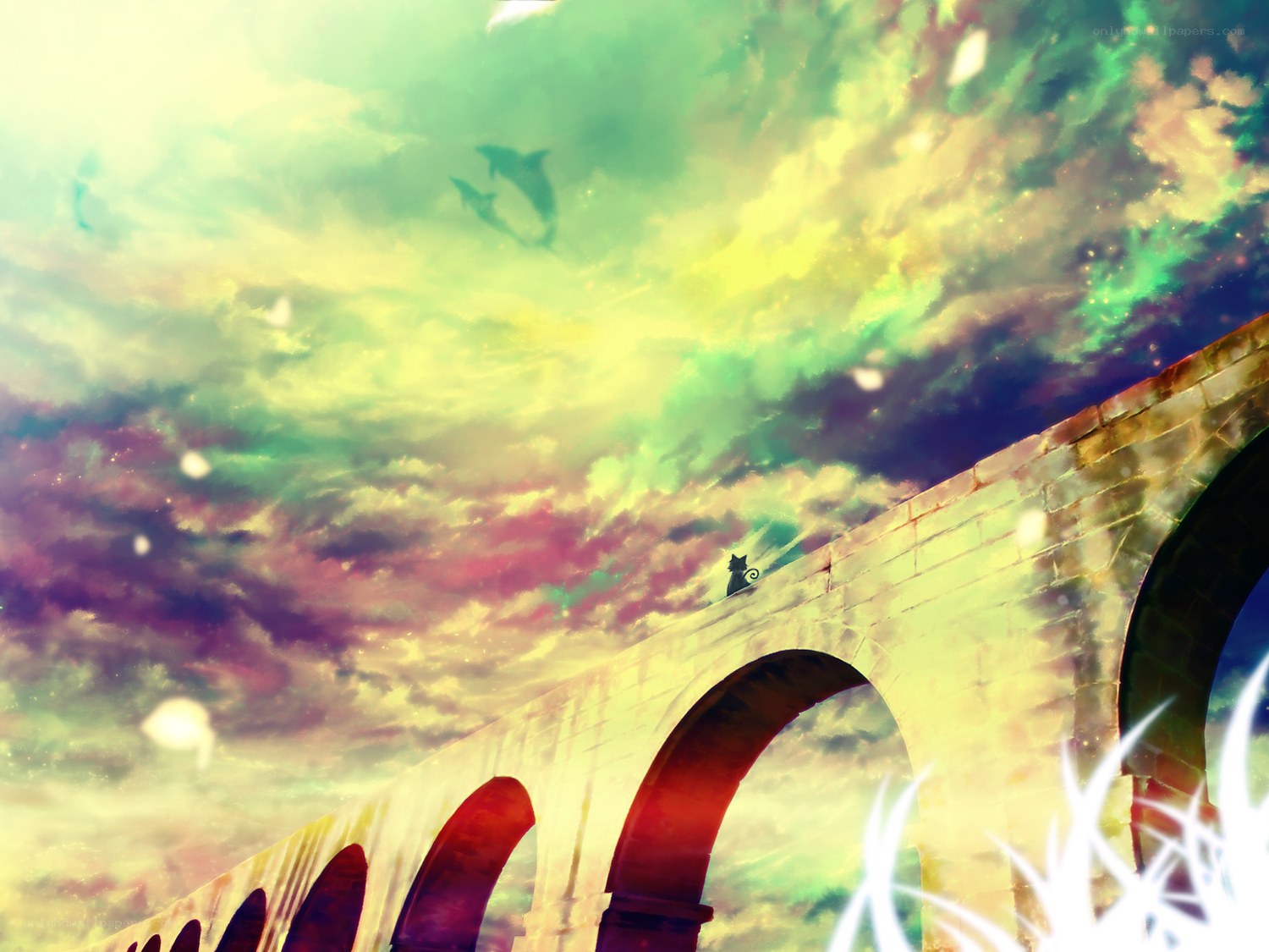 cat on a bridge under colorful sky