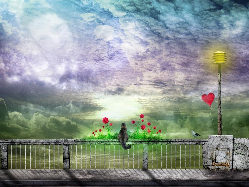 Cat on a bridge with heart balloon