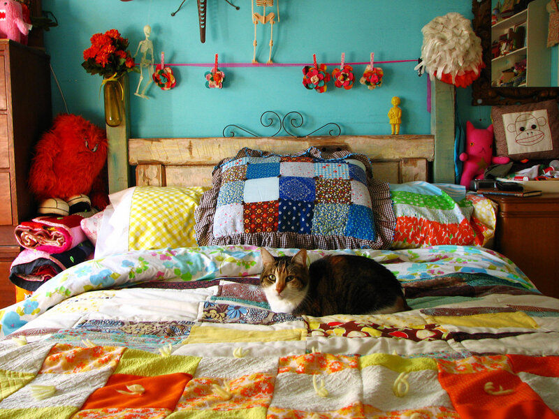 cat on a colorful bed