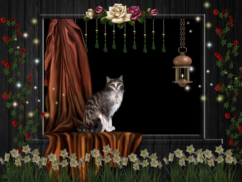 Cat on a Draped Window