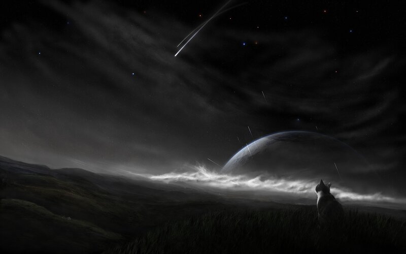 Cat on a Hill — Black, Dramatic