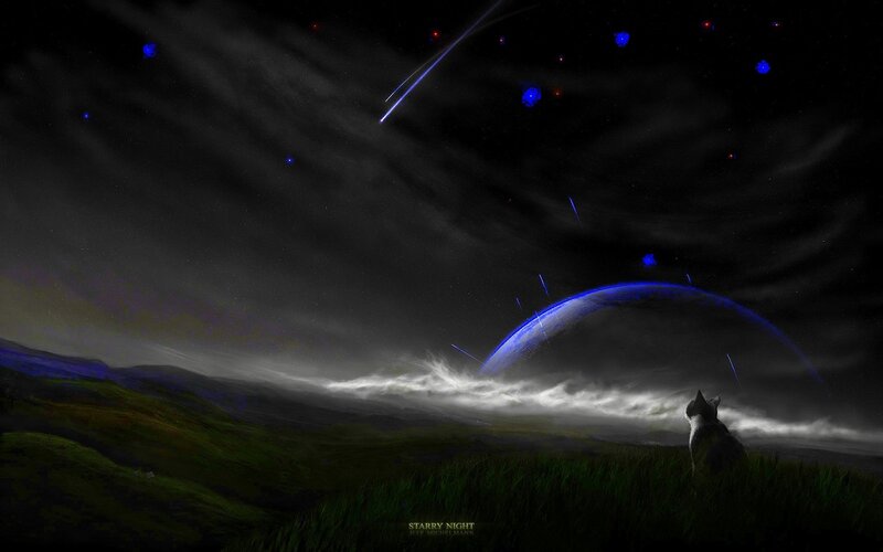 Cat on a Hill — Black