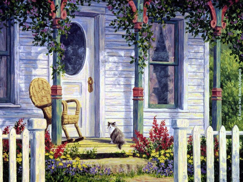 Cat on a porch with flowers