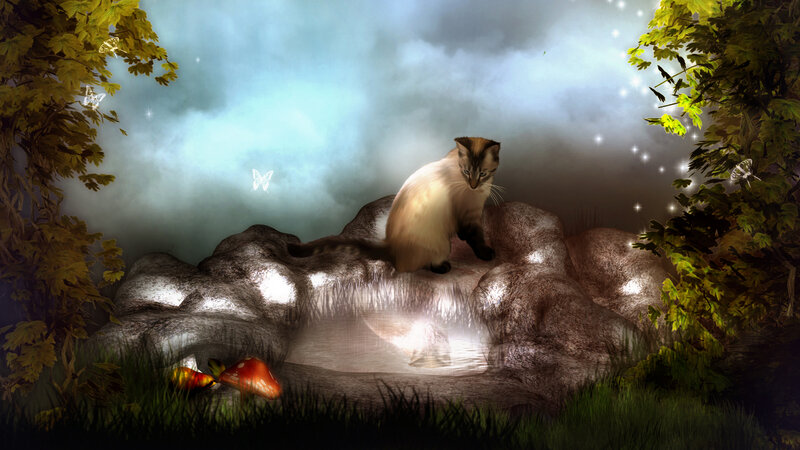 Cat on a Rock — Green, Serene