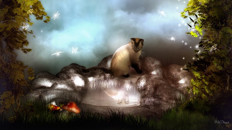 Cat on a Rock — Green