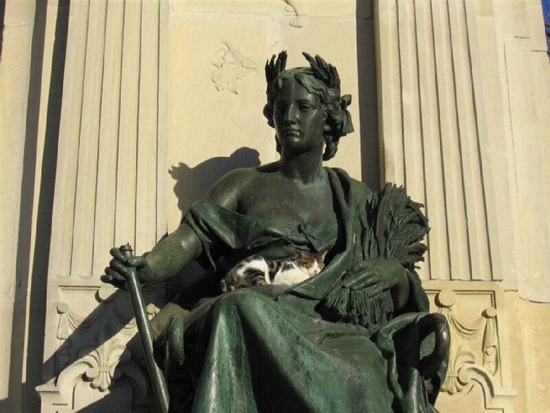 cat on a statue
